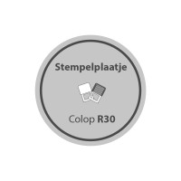 Stempelplaatje Colop Printer R30